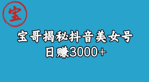 宝哥揭秘抖音美女号玩法，日赚3000+【揭秘】-桐创网