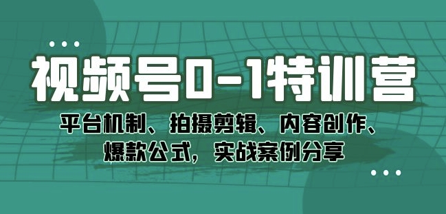 视频号0-1特训营：平台机制、拍摄剪辑、内容创作、爆款公式，实战案例分享-桐创网