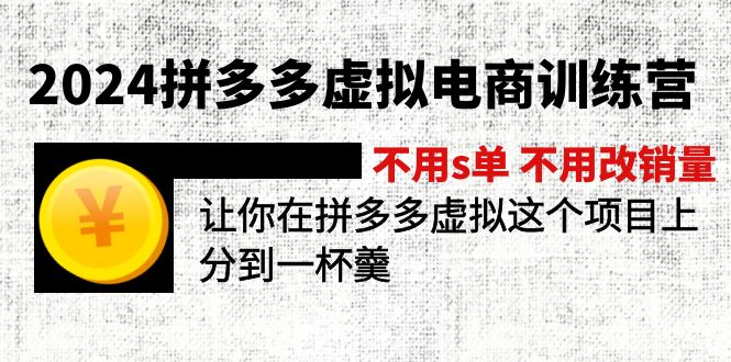 （12024期）2024拼多多虚拟电商训练营 不s单 不改销量  做虚拟项目分一杯羹(更新10节)-桐创网