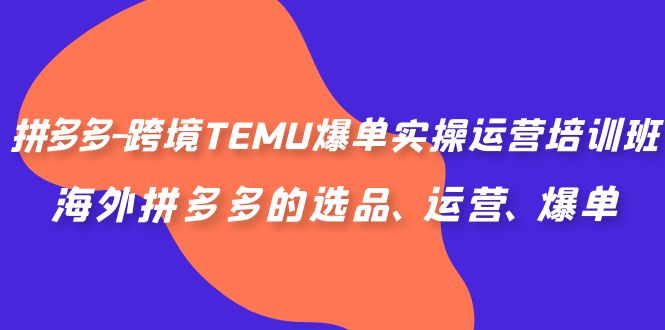 （6934期）拼多多-跨境TEMU爆单实操运营培训班，海外拼多多的选品、运营、爆单-桐创网