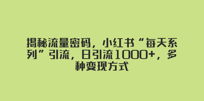 （8179期）揭秘流量密码，小红书“每天系列”引流，日引流1000+，多种变现方式-桐创网