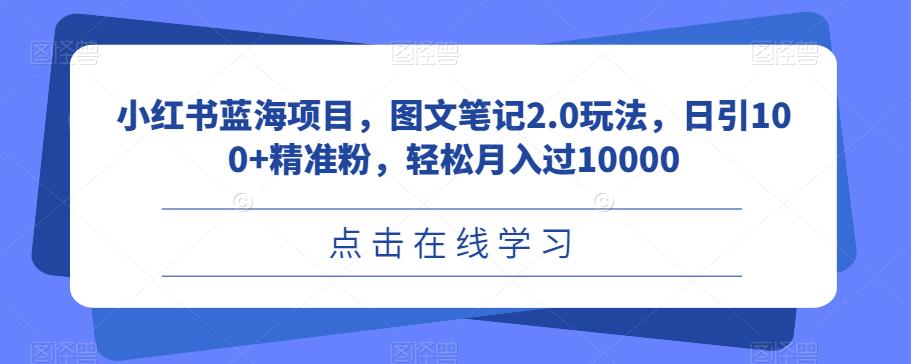 小红书蓝海项目，图文笔记2.0玩法，日引100+精准粉，轻松月入过10000【揭秘】-桐创网