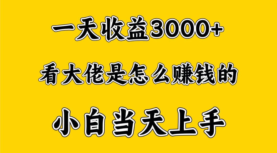 一天赚3000多，大佬是这样赚到钱的，小白当天上手，穷人翻身项目-桐创网