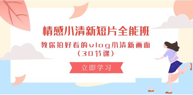 （10567期）情感 小清新短片-全能班，教你拍好看的vlog小清新画面 (30节课)-桐创网