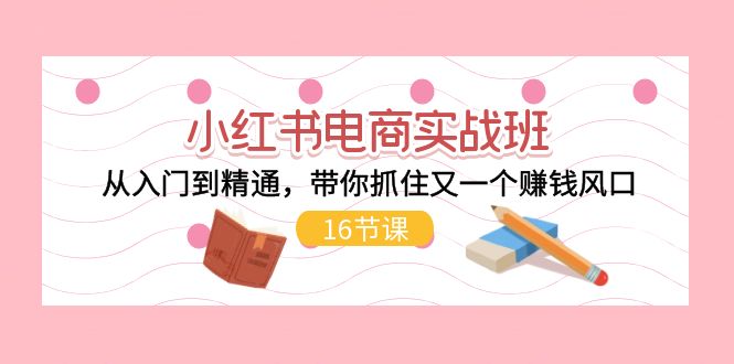 （11533期）小红书电商实战班，从入门到精通，带你抓住又一个赚钱风口（16节）-桐创网