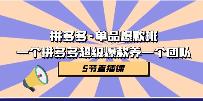 （7019期）拼多多·单品爆款班，一个拼多多超级爆款养一个团队（5节直播课）-桐创网