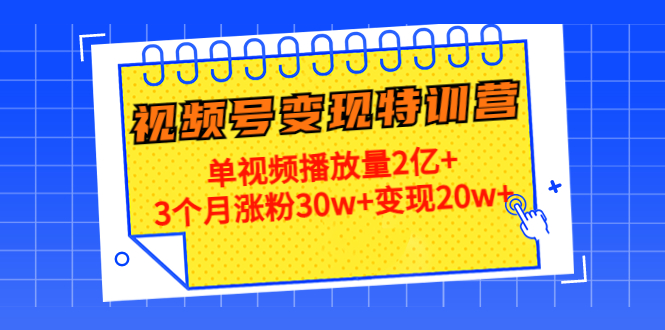 21天视频号变现特训营：单视频播放量2亿+3个月涨粉30w+变现20w+（第14期）-桐创网