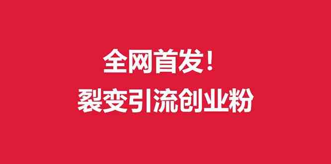 （9061期）（全网首发）外面收费几千的裂变引流高质量创业粉-桐创网