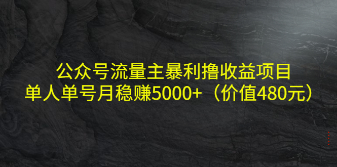 公众号流量主暴利撸收益项目，单人单号月稳赚5000+（价值480元）-桐创网