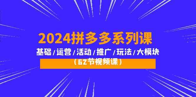 （10019期）2024拼多多系列课：基础/运营/活动/推广/玩法/大模块（62节视频课）-桐创网