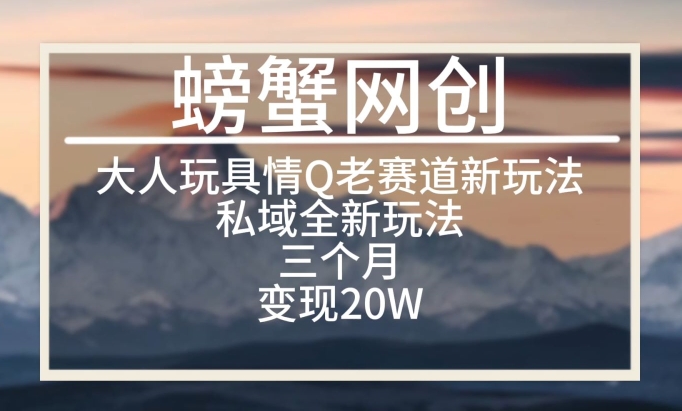 大人玩具情Q用品赛道私域全新玩法，三个月变现20W，老项目新思路-桐创网