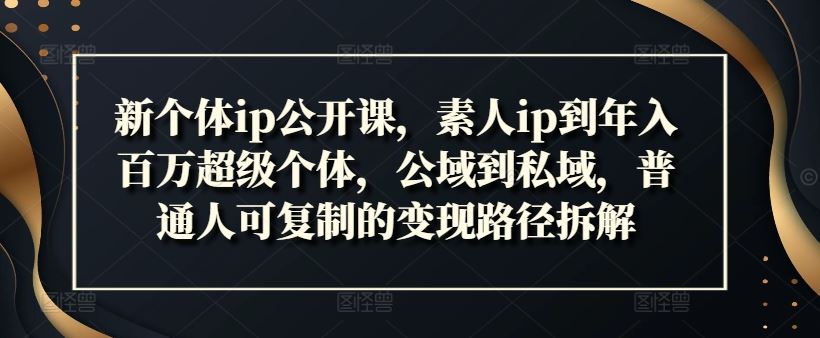 新个体ip公开课，素人ip到年入百万超级个体，公域到私域，普通人可复制的变现路径拆解-桐创网