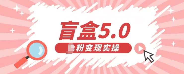 盲盒交友5.0，男粉变现实操项目，亲测变现效果极好【揭秘】-桐创网