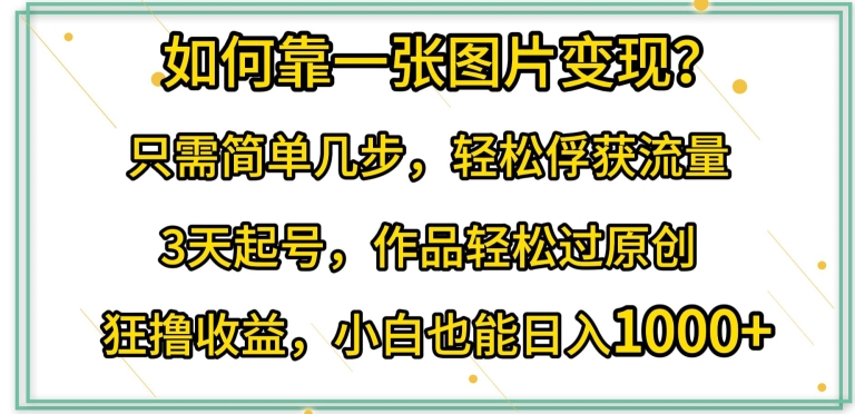 如何靠一张图片变现?只需简单几步，轻松俘获流量，3天起号，作品轻松过原创-桐创网