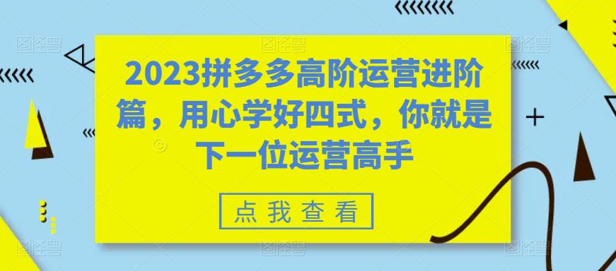 2023拼多多高阶运营进阶篇，用心学好四式，你就是下一位运营高手-桐创网