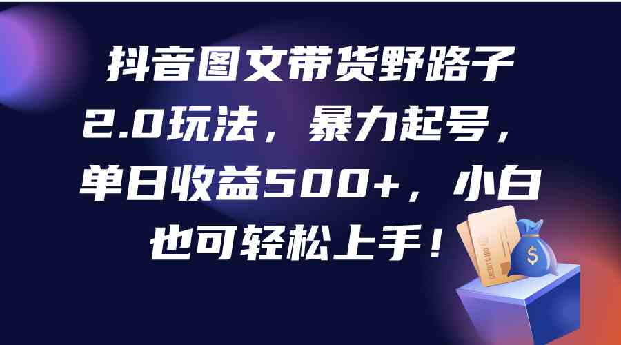 （9790期）抖音图文带货野路子2.0玩法，暴力起号，单日收益500+，小白也可轻松上手！-桐创网