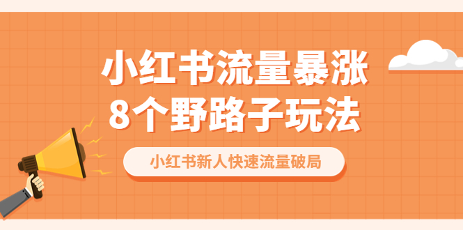 （6476期）小红书流量-暴涨8个野路子玩法：小红书新人快速流量破局（8节课）-桐创网