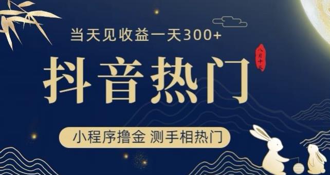 抖音最新小程序撸金，测手相上热门，当天见收益一小时变现300+【揭秘】-桐创网