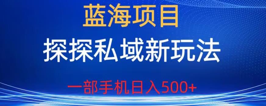 蓝海项目，探探私域新玩法，一部手机日入500+很轻松【揭秘】-桐创网