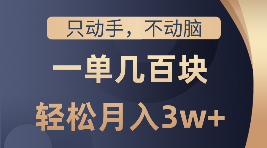 （10561期）只动手不动脑，一单几百块，轻松月入3w+，看完就能直接操作，详细教程-桐创网