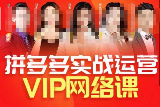 推易拼多多VIP全套直播课程，拼多多店铺实操玩法+实战玩法选款内功+直通车高阶等-桐创网