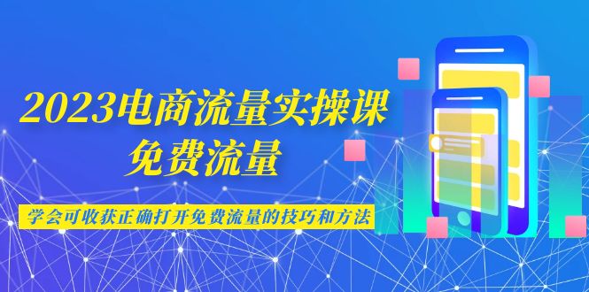 2023电商流量实操课-免费流量，学会可收获正确打开免费流量的技巧和方法-桐创网