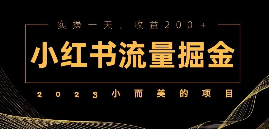 2023小而美的项目，小红书流量掘金，实操一天，收益200+【揭秘】-桐创网