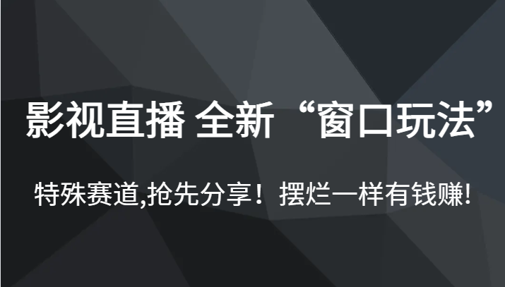 影视直播 全新“窗口玩法”，特殊赛道,抢先分享！摆烂一样有钱赚!-桐创网