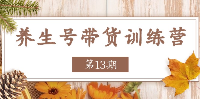 养生号带货训练营【第13期】收益更稳定的玩法，让你带货收益爆炸-桐创网