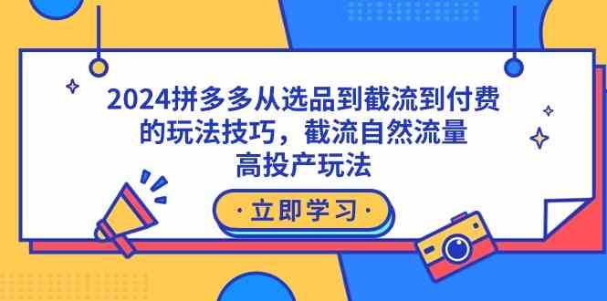 （9037期）2024拼多多从选品到截流到付费的玩法技巧，截流自然流量玩法，高投产玩法-桐创网