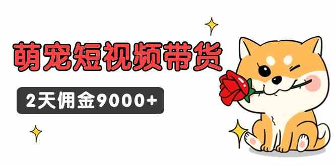 （9273期）东哲日记·萌宠短视频带货，2天佣金9000+-桐创网