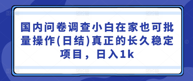 国内问卷调查小白在家也可批量操作(日结)真正的长久稳定项目，日入1k【揭秘】-桐创网