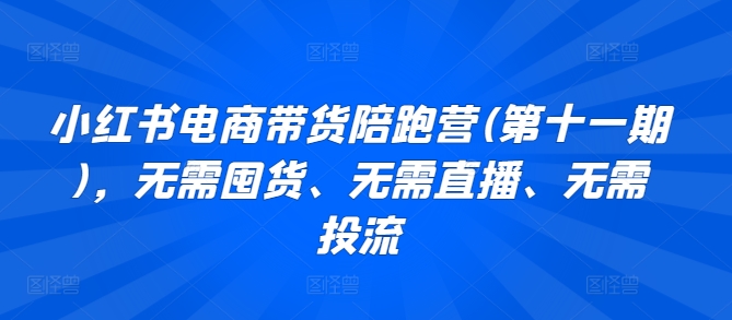 小红书电商带货陪跑营(第十一期)，无需囤货、无需直播、无需投流-桐创网