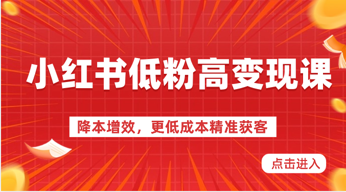 小红书低粉高变现课-降本增效，更低成本精准获客，小红书必爆的流量密码-桐创网