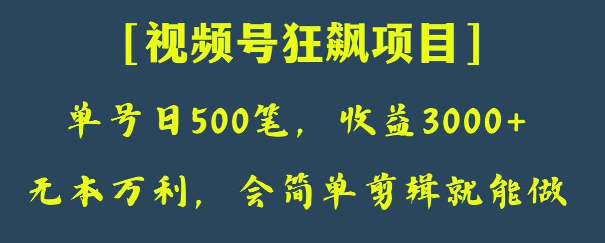 日收款500笔，纯利润3000+，视频号狂飙项目，会简单剪辑就能做【揭秘】-桐创网