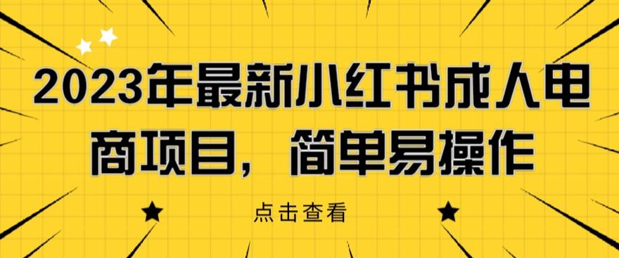 2023年最新小红书成人电商项目，简单易操作【详细教程】【揭秘】-桐创网