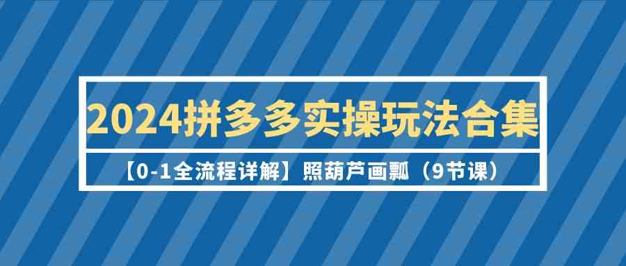 （9559期）2024拼多多实操玩法合集【0-1全流程详解】照葫芦画瓢（9节课）.-桐创网