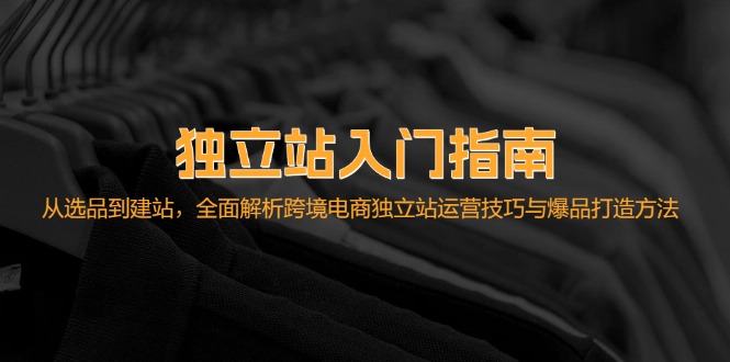 （12882期）独立站入门指南：从选品到建站，全面解析跨境电商独立站运营技巧与爆品…-桐创网