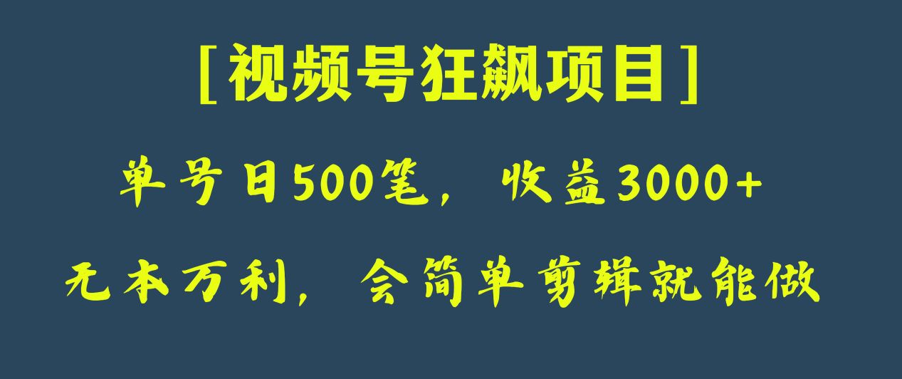 日收款500笔，纯利润3000+，视频号狂飙项目！-桐创网