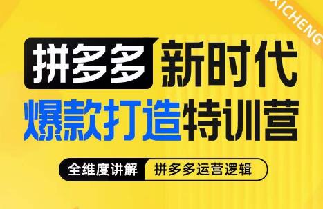 玺承·拼多多新时代爆款打造特训营，全维度讲解拼多多运营逻辑-桐创网