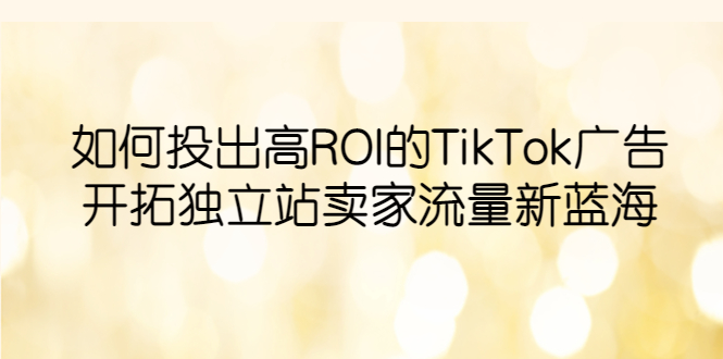 （6102期）如何投出高ROI·TikTok广告，开拓独立站卖家流量新蓝海-桐创网