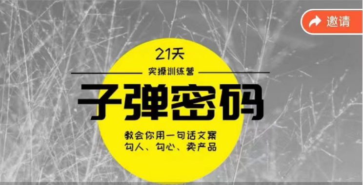 《子弹密码训练营》用一句话文案勾人勾心卖产品，21天学到顶尖文案大师策略和技巧-桐创网