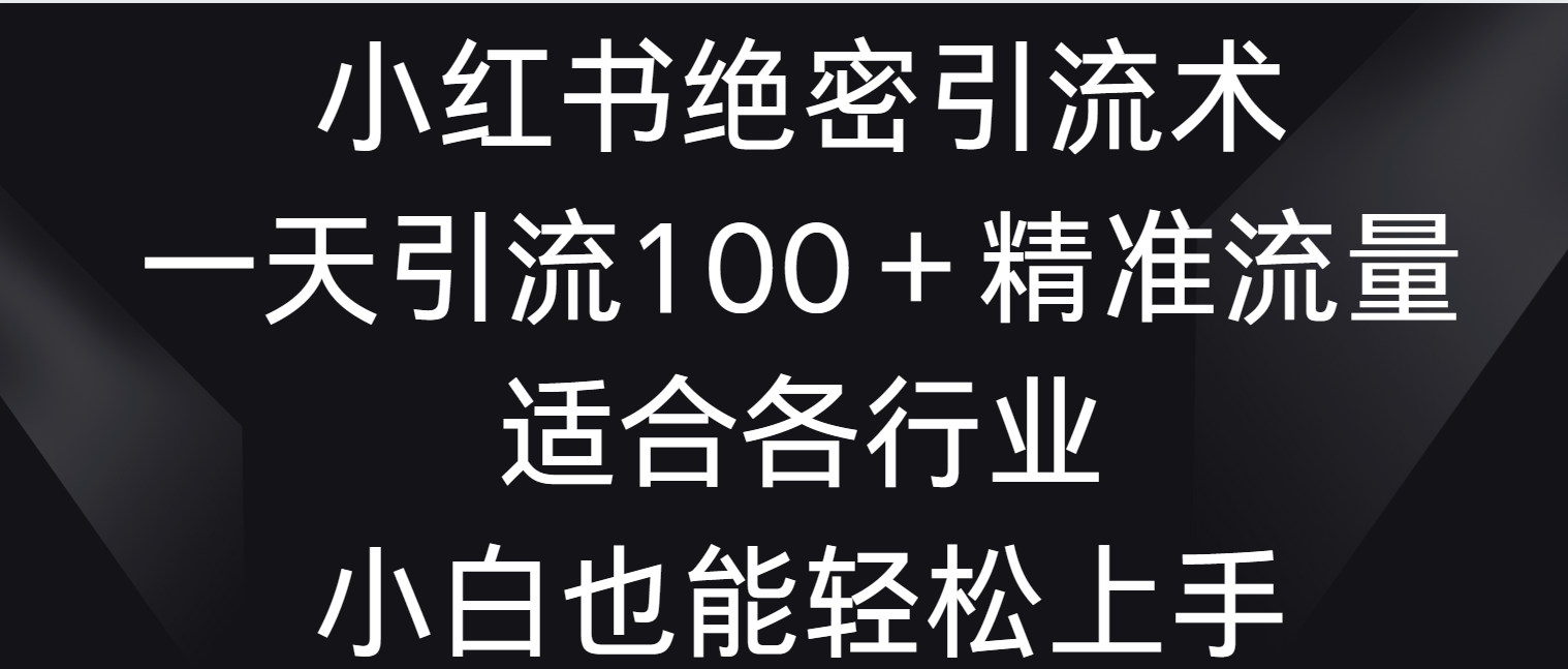 小红书绝密引流术，一天引流100＋精准流量，适合各个行业，小白也能轻松上手-桐创网