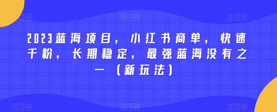 2023蓝海项目，小红书商单，快速千粉，长期稳定，最强蓝海没有之一（新玩法）-桐创网