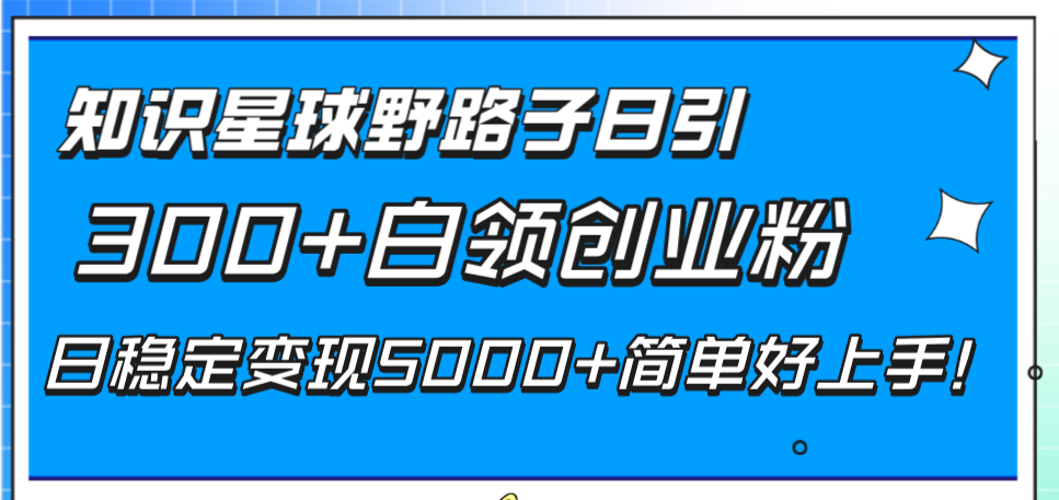 （8315期）知识星球野路子日引300+白领创业粉，日稳定变现5000+简单好上手！-桐创网