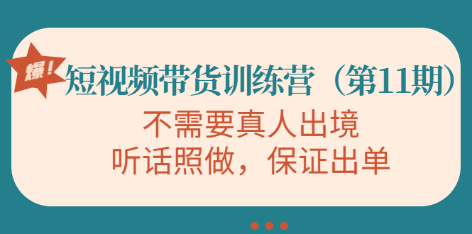 视频带货训练营，不需要真人出境，听话照做，保证出单（第11期）-桐创网