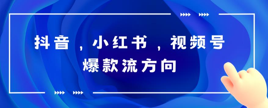 抖音，小红书，视频号爆款流视频制作，简单制作掌握流量密码-桐创网