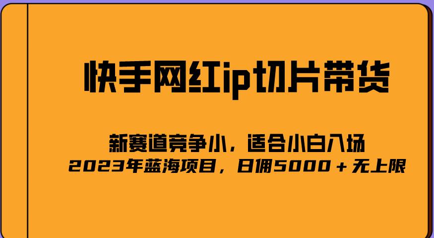 2023爆火的快手网红IP切片，号称日佣5000＋的蓝海项目，二驴的独家授权-桐创网