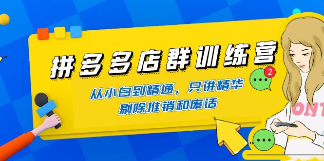 （4318期）拼多多店群训练营：从小白到精通，只讲精华，剔除推销和废话-桐创网