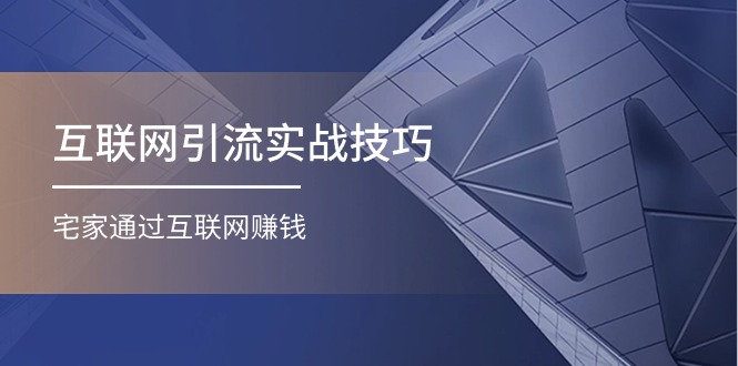 （11108期）互联网引流实操技巧(适合微商，吸引宝妈)，宅家通过互联网赚钱（17节）-桐创网